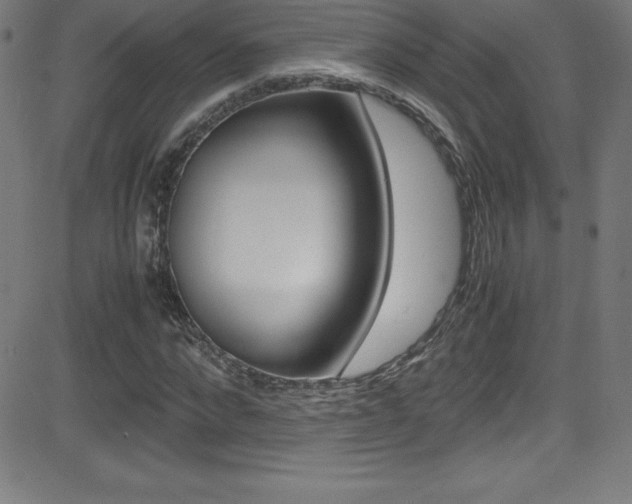 X0000081630872200701151117