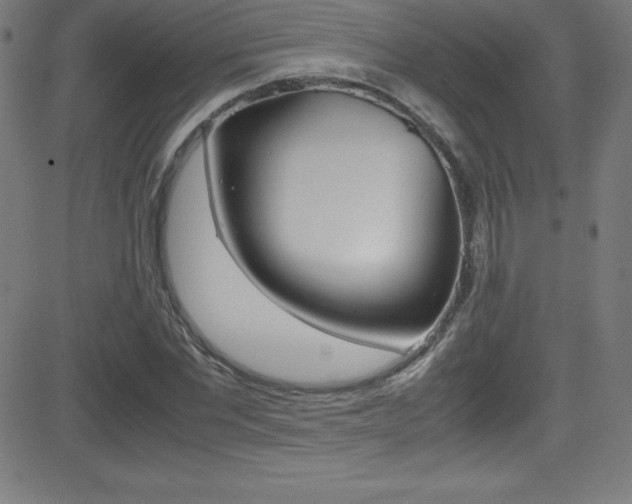 X0000081630877200701151117