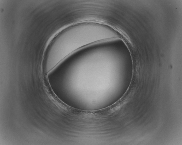 X0000081630880200701151117