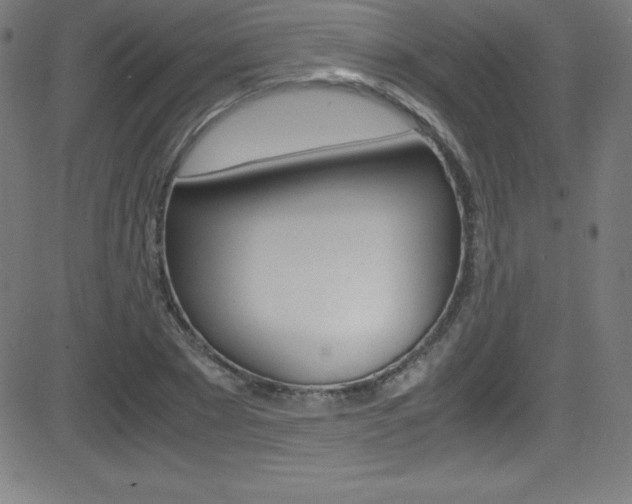 X0000081630881200701151117