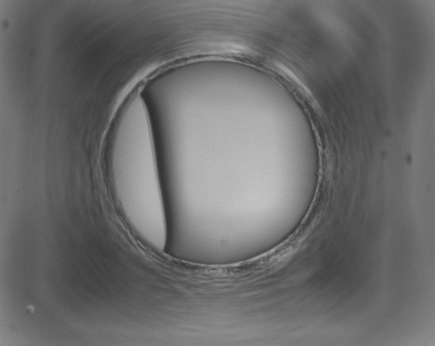 X0000081630883200701151117