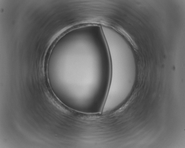 X0000081630884200701151117