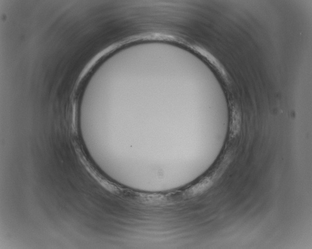 X0000081630886200701151117