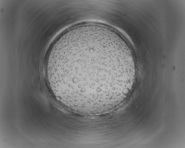 X0000081630887200701151117