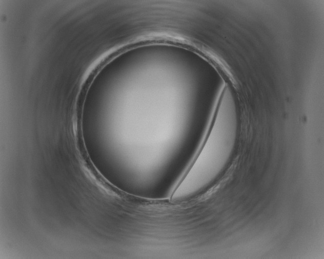 X0000081630888200701151117