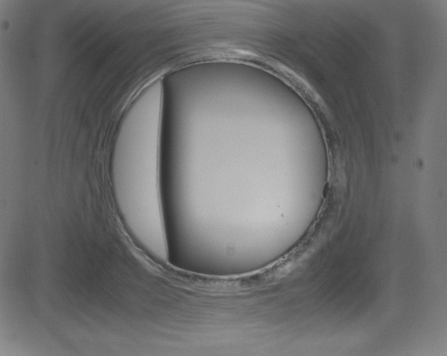X0000081630889200701151117