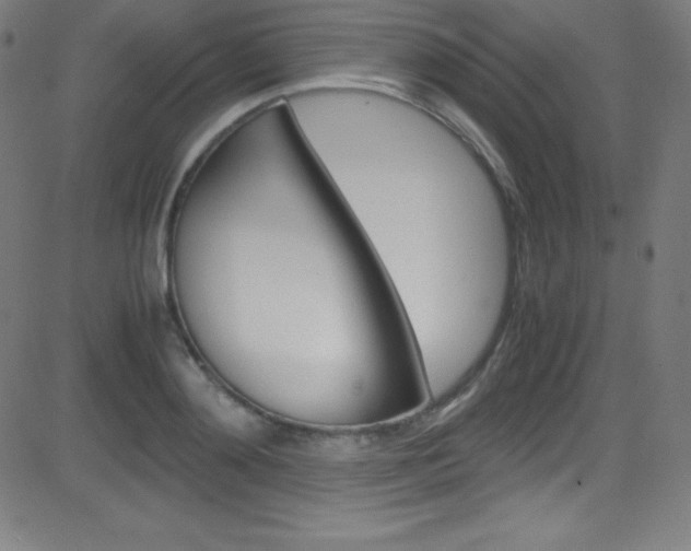 X0000081630892200701151117