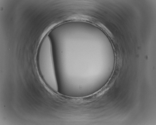 X0000081630893200701151117
