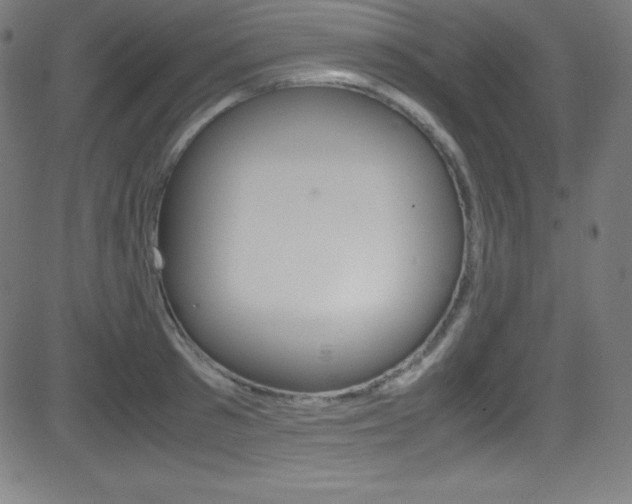 X0000081630897200701151117