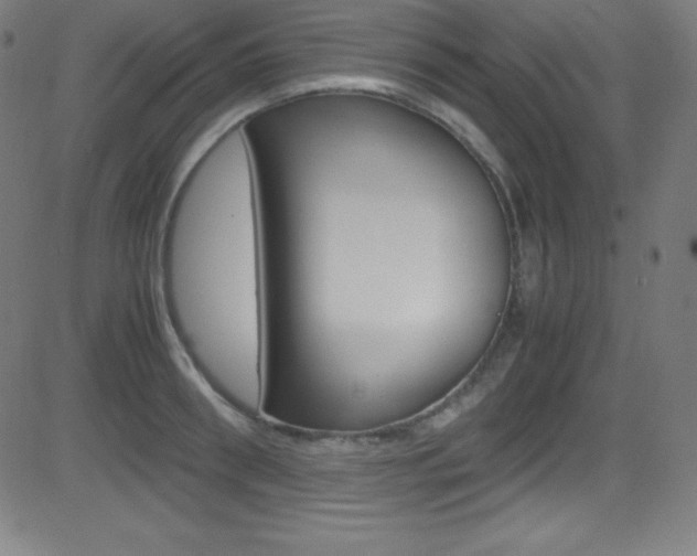 X0000081630898200701151117