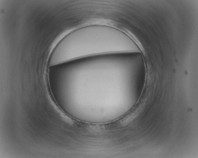 X0000081630901200701151117