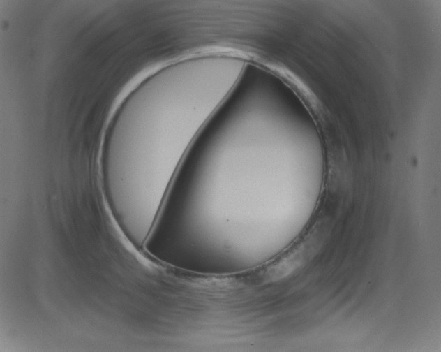 X0000081630902200701151117