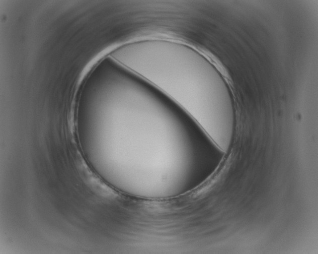 X0000081630904200701151117