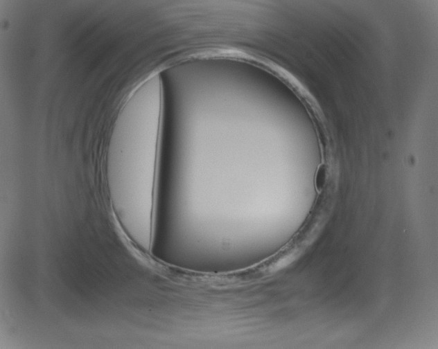 X0000081630905200701151117