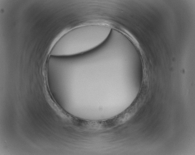 X0000081630907200701151117