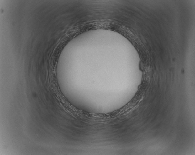 X0000081630913200701151116