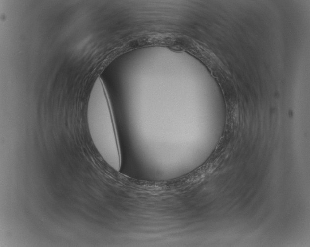 X0000081630914200701151116