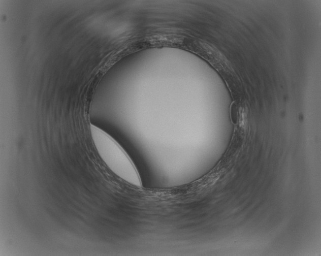 X0000081630915200701151116