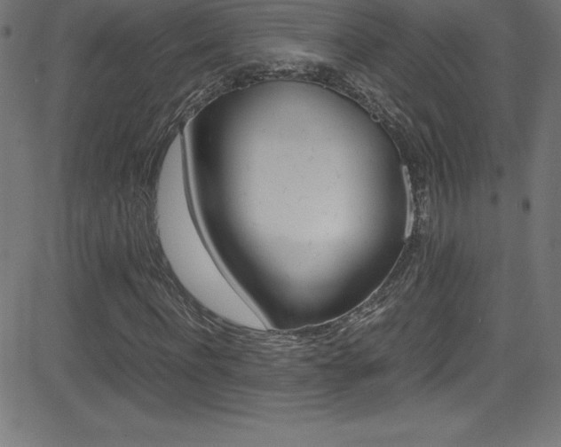 X0000081630916200701151116
