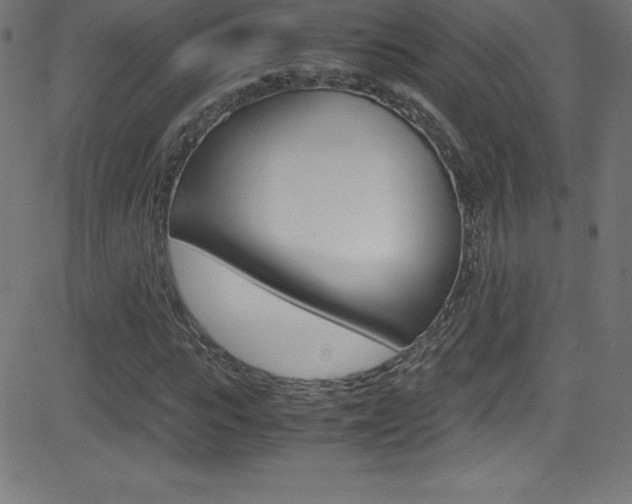 X0000081630919200701151116