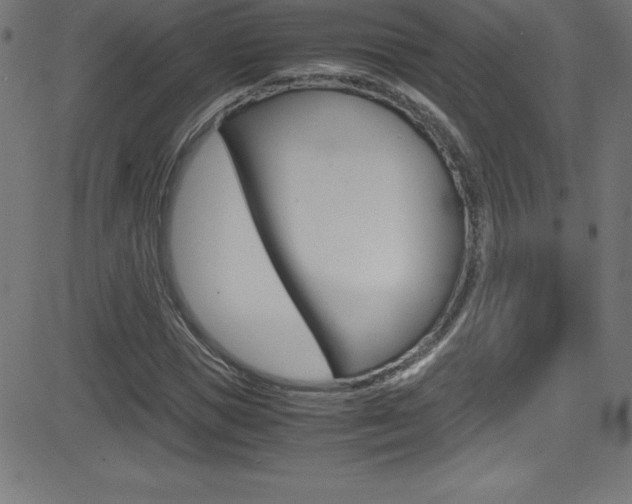 X0000081630921200701151116