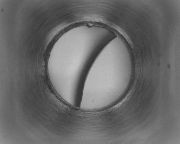 X0000081630926200701151116