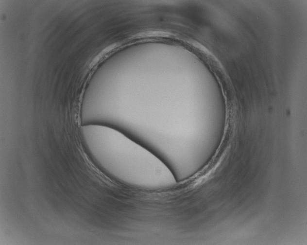 X0000081630929200701151116