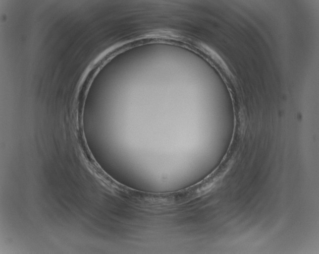 X0000081630931200701151116