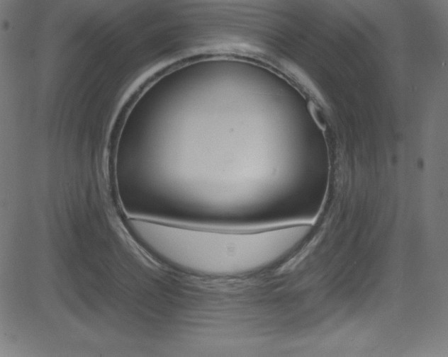 X0000081630932200701151116
