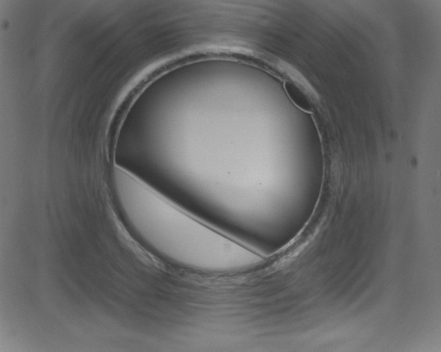 X0000081630934200701151116