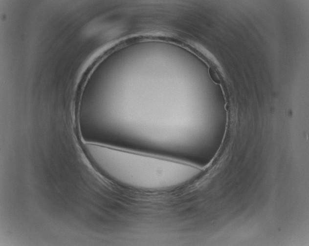 X0000081630935200701151116