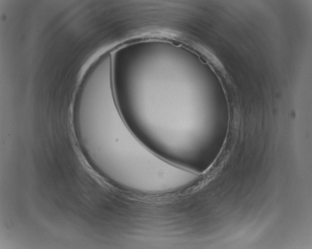 X0000081630936200701151116