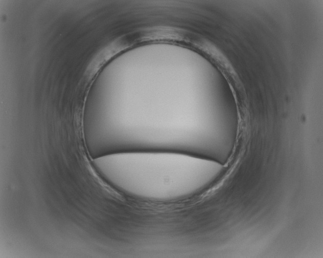 X0000081630937200701151116