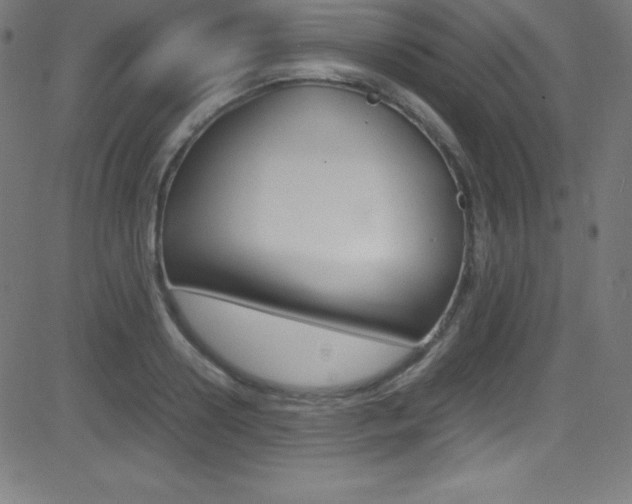 X0000081630938200701151116