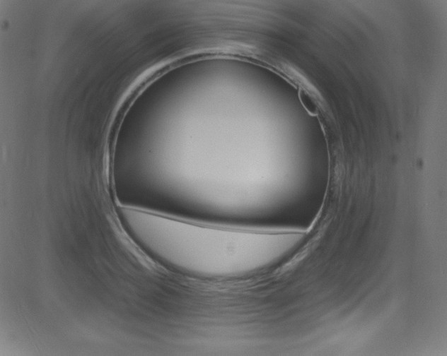 X0000081630940200701151116