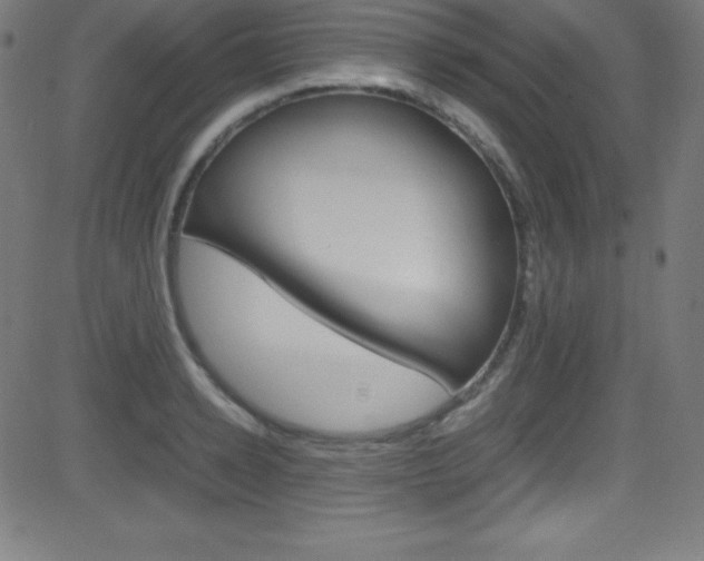 X0000081630942200701151116