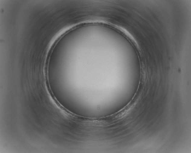 X0000081630943200701151116