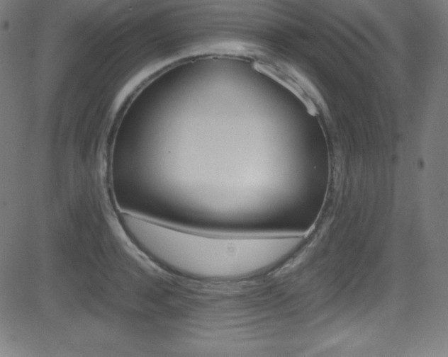 X0000081630944200701151116