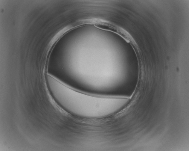 X0000081630946200701151116
