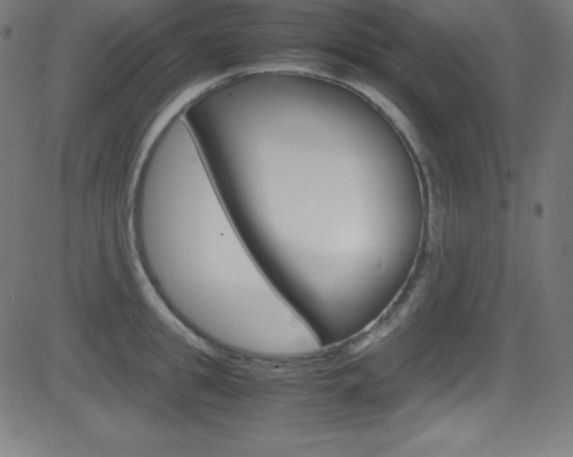 X0000081630949200701151116