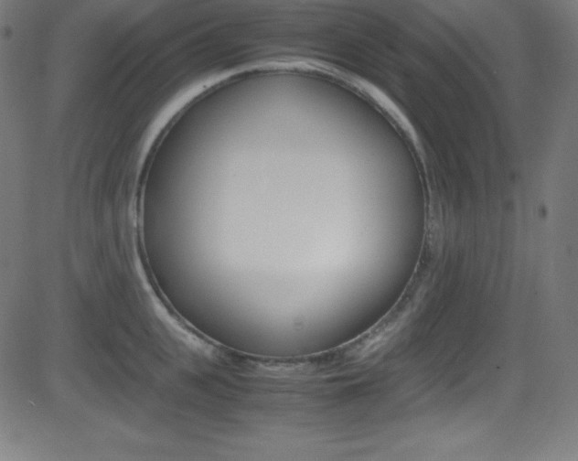 X0000081630951200701151116
