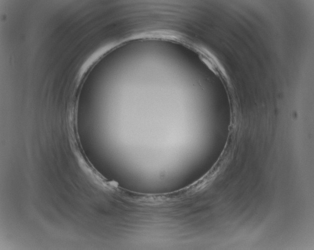X0000081630952200701151116