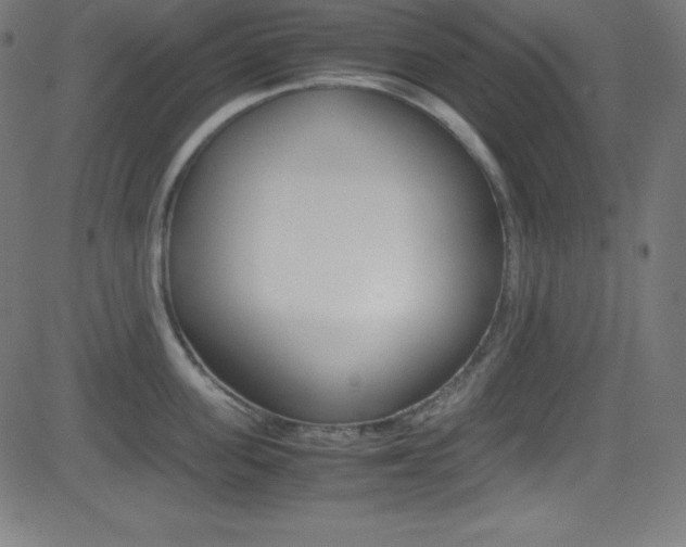 X0000081630955200701151117