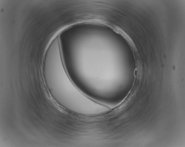 X0000081630956200701151117