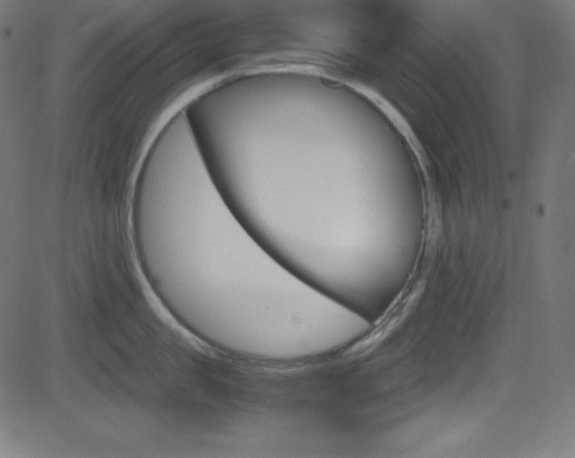 X0000081630957200701151117