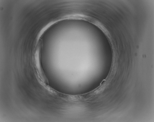 X0000081630960200701151117