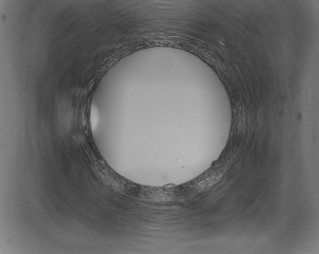 X0000081630962200701151116