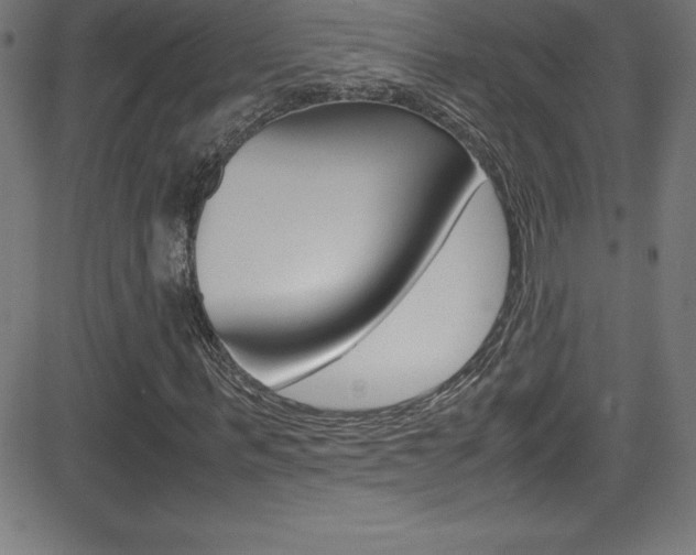 X0000081630963200701151116