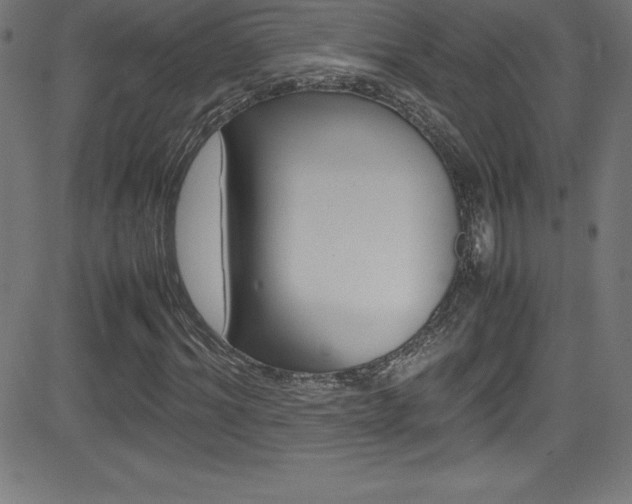 X0000081630964200701151116