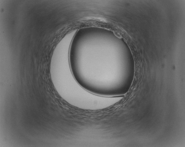 X0000081630965200701151116
